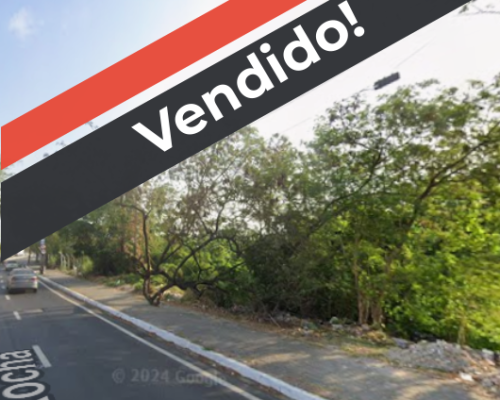 fotoPadrao